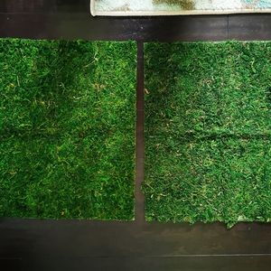 Preserved Moss Runners